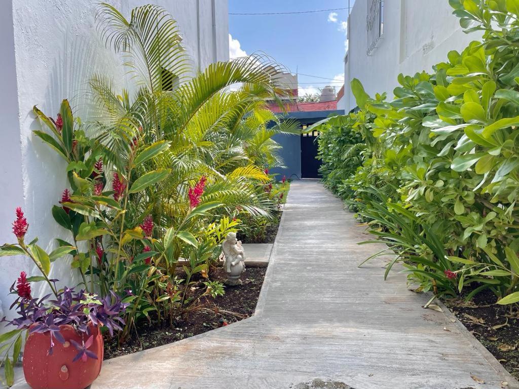 Aldeazul By Andiani Travel Lägenhet Cancún Exteriör bild